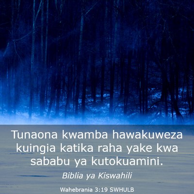 Picture 03 - Wahebrania 3:19 SWHULB - Tunaona kwamba hawakuweza kuingia katika raha - Bible Verse Picture