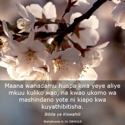 Picture 03 - Wahebrania 6:16 SWHULB - Maana wanadamu huapa kwa yeye aliye mkuu kuliko - Bible Verse Picture