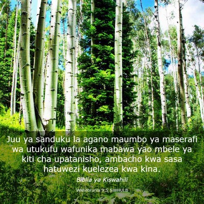 Picture 03 - Wahebrania 9:5 SWHULB - Juu ya sanduku la agano maumbo ya maserafi wa - Bible Verse Picture