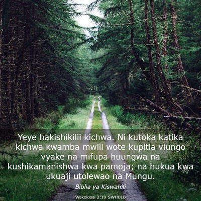 Picture 03 - Wakolosai 2:19 SWHULB - Yeye hakishikilii kichwa. Ni kutoka katika kichwa - Bible Verse Picture