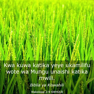 Picture 03 - Wakolosai 2:9 SWHULB - Kwa kuwa katika yeye ukamilifu wote wa Mungu - Bible Verse Picture