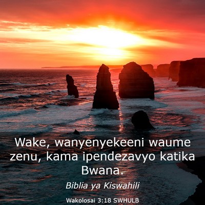 Picture 03 - Wakolosai 3:18 SWHULB - Wake, wanyenyekeeni waume zenu, kama ipendezavyo - Bible Verse Picture