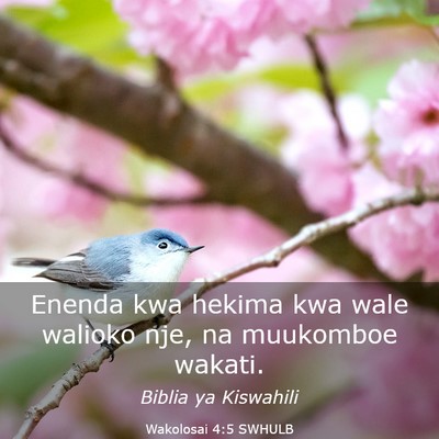 Picture 03 - Wakolosai 4:5 SWHULB - Enenda kwa hekima kwa wale walioko nje, na - Bible Verse Picture