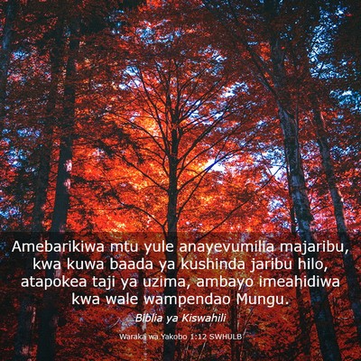 Picture 03 - Waraka wa Yakobo 1:12 SWHULB - Amebarikiwa mtu yule anayevumilia majaribu, kwa - Bible Verse Picture