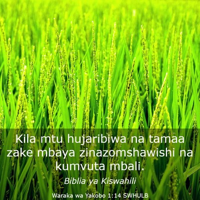 Picture 03 - Waraka wa Yakobo 1:14 SWHULB - Kila mtu hujaribiwa na tamaa zake mbaya - Bible Verse Picture