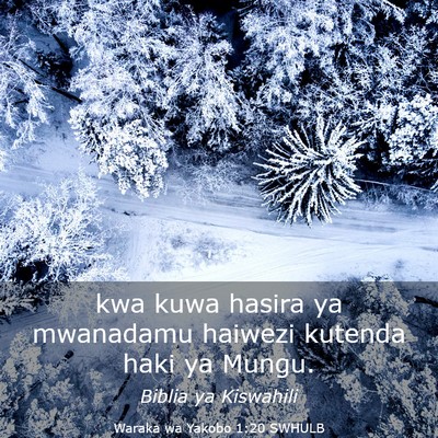Picture 03 - Waraka wa Yakobo 1:20 SWHULB - kwa kuwa hasira ya mwanadamu haiwezi kutenda haki - Bible Verse Picture