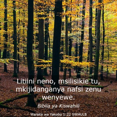 Picture 03 - Waraka wa Yakobo 1:22 SWHULB - Litiini neno, msilisikie tu, mkijidanganya nafsi - Bible Verse Picture