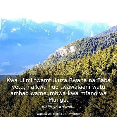 Picture 03 - Waraka wa Yakobo 3:9 SWHULB - Kwa ulimi twamtukuza Bwana na Baba yetu, na kwa - Bible Verse Picture