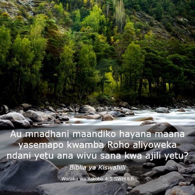 Picture 03 - Waraka wa Yakobo 4:5 SWHULB - Au mnadhani maandiko hayana maana yasemapo kwamba - Bible Verse Picture