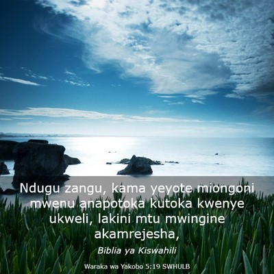 Picture 03 - Waraka wa Yakobo 5:19 SWHULB - Ndugu zangu, kama yeyote miongoni mwenu anapotoka - Bible Verse Picture