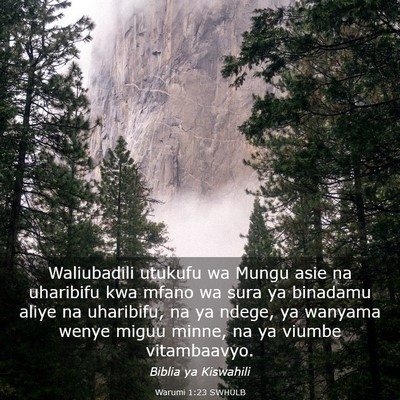 Picture 03 - Warumi 1:23 SWHULB - Waliubadili utukufu wa Mungu asie na uharibifu - Bible Verse Picture