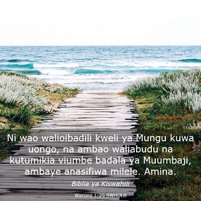 Picture 03 - Warumi 1:25 SWHULB - Ni wao walioibadili kweli ya Mungu kuwa uongo, na - Bible Verse Picture