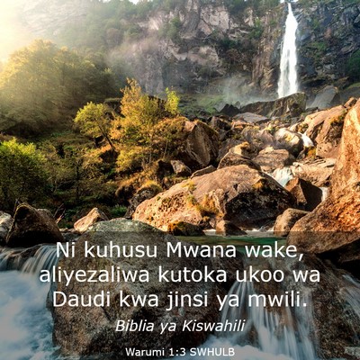 Picture 03 - Warumi 1:3 SWHULB - Ni kuhusu Mwana wake, aliyezaliwa kutoka ukoo wa - Bible Verse Picture
