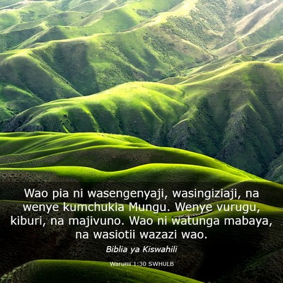 Picture 03 - Warumi 1:30 SWHULB - Wao pia ni wasengenyaji, wasingiziaji, na wenye - Bible Verse Picture