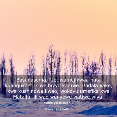 Picture 03 - Warumi 11:11 SWHULB - Basi nasema, “Je, wamejikwaa hata kuanguka?” - Bible Verse Picture