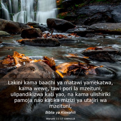 Picture 03 - Warumi 11:17 SWHULB - Lakini kama baadhi ya matawi yamekatwa, kama - Bible Verse Picture