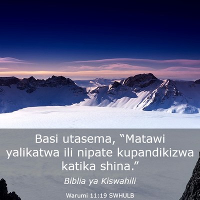 Picture 03 - Warumi 11:19 SWHULB - Basi utasema, “Matawi yalikatwa ili nipate - Bible Verse Picture