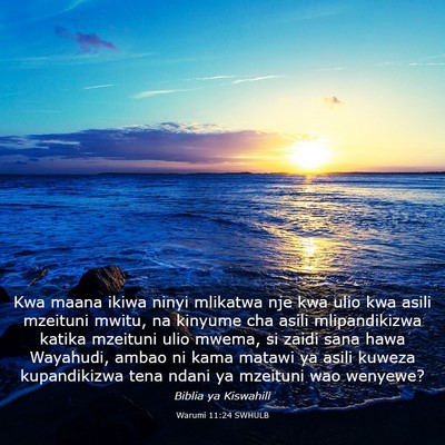Picture 03 - Warumi 11:24 SWHULB - Kwa maana ikiwa ninyi mlikatwa nje kwa ulio kwa - Bible Verse Picture