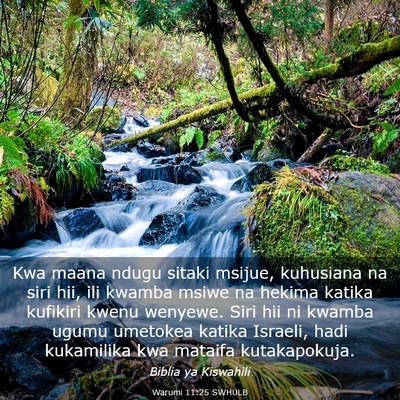 Picture 03 - Warumi 11:25 SWHULB - Kwa maana ndugu sitaki msijue, kuhusiana na siri - Bible Verse Picture