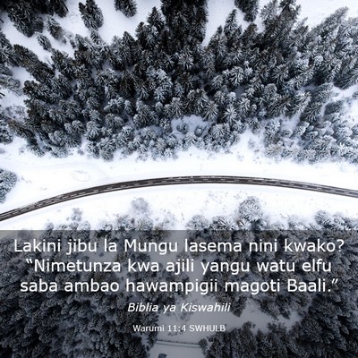 Picture 03 - Warumi 11:4 SWHULB - Lakini jibu la Mungu lasema nini kwako? - Bible Verse Picture