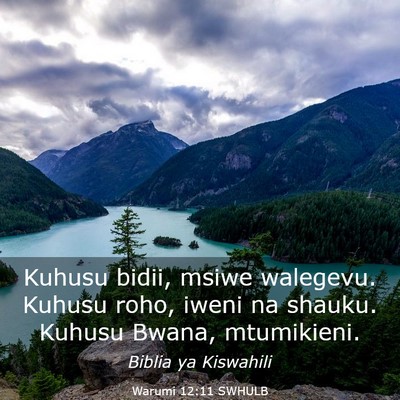 Picture 03 - Warumi 12:11 SWHULB - Kuhusu bidii, msiwe walegevu. Kuhusu roho, iweni - Bible Verse Picture