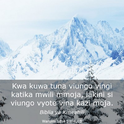 Picture 03 - Warumi 12:4 SWHULB - Kwa kuwa tuna viungo vingi katika mwili mmoja, - Bible Verse Picture