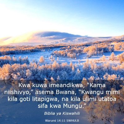 Picture 03 - Warumi 14:11 SWHULB - Kwa kuwa imeandikwa, “Kama niishivyo,” asema - Bible Verse Picture