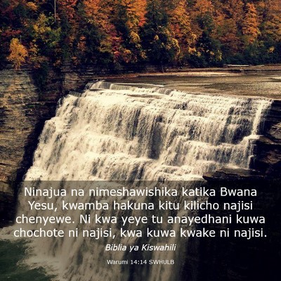 Picture 03 - Warumi 14:14 SWHULB - Ninajua na nimeshawishika katika Bwana Yesu, - Bible Verse Picture