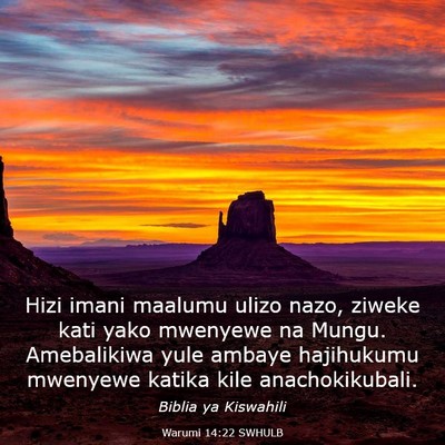 Picture 03 - Warumi 14:22 SWHULB - Hizi imani maalumu ulizo nazo, ziweke kati yako - Bible Verse Picture