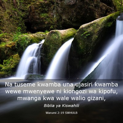 Picture 03 - Warumi 2:19 SWHULB - Na tuseme kwamba una ujasiri kwamba wewe mwenyewe - Bible Verse Picture