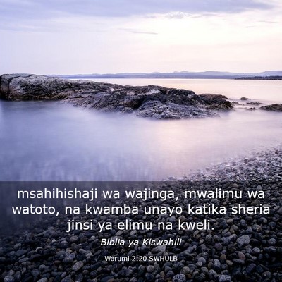 Picture 03 - Warumi 2:20 SWHULB - msahihishaji wa wajinga, mwalimu wa watoto, na - Bible Verse Picture