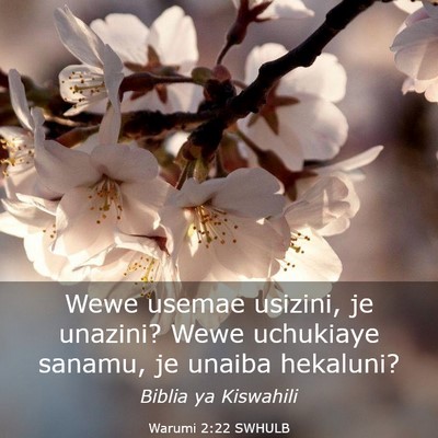 Picture 03 - Warumi 2:22 SWHULB - Wewe usemae usizini, je unazini? Wewe uchukiaye - Bible Verse Picture