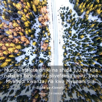 Picture 03 - Warumi 2:9 SWHULB - Mungu ataleta dhiki na shida juu ya kila nafsi ya - Bible Verse Picture