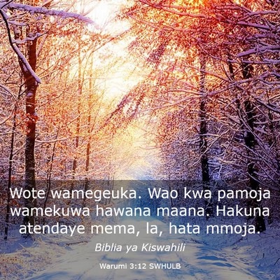 Picture 03 - Warumi 3:12 SWHULB - Wote wamegeuka. Wao kwa pamoja wamekuwa hawana - Bible Verse Picture