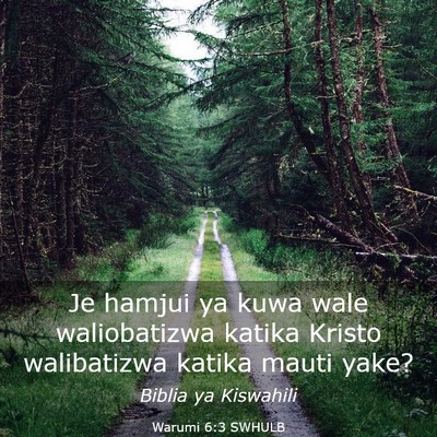 Picture 03 - Warumi 6:3 SWHULB - Je hamjui ya kuwa wale waliobatizwa katika Kristo - Bible Verse Picture