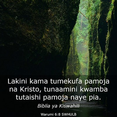 Picture 03 - Warumi 6:8 SWHULB - Lakini kama tumekufa pamoja na Kristo, tunaamini - Bible Verse Picture