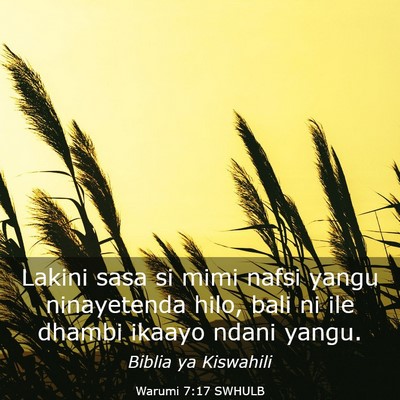 Picture 03 - Warumi 7:17 SWHULB - Lakini sasa si mimi nafsi yangu ninayetenda hilo, - Bible Verse Picture