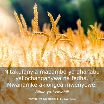 Picture 03 - Wimbo wa Sulemani 1:11 SWHULB - Nitakufanyia mapambo ya dhahabu yaliochanganywa - Bible Verse Picture