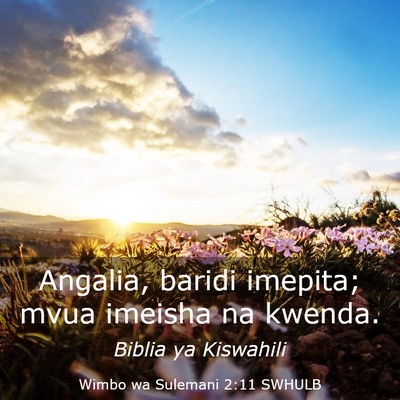 Picture 03 - Wimbo wa Sulemani 2:11 SWHULB - Angalia, baridi imepita; mvua imeisha na - Bible Verse Picture