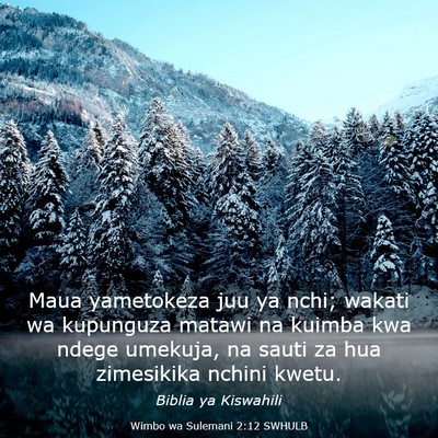 Picture 03 - Wimbo wa Sulemani 2:12 SWHULB - Maua yametokeza juu ya nchi; wakati wa kupunguza - Bible Verse Picture
