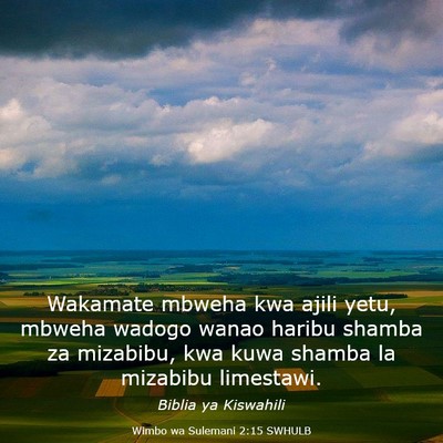 Picture 03 - Wimbo wa Sulemani 2:15 SWHULB - Wakamate mbweha kwa ajili yetu, mbweha wadogo - Bible Verse Picture