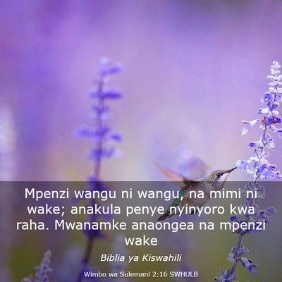 Picture 03 - Wimbo wa Sulemani 2:16 SWHULB - Mpenzi wangu ni wangu, na mimi ni wake; anakula - Bible Verse Picture