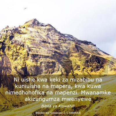 Picture 03 - Wimbo wa Sulemani 2:5 SWHULB - Ni uishe kwa keki za mizabibu na kuniuisha na - Bible Verse Picture