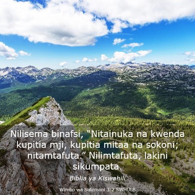 Picture 03 - Wimbo wa Sulemani 3:2 SWHULB - Nilisema binafsi, “Nitainuka na kwenda kupitia - Bible Verse Picture