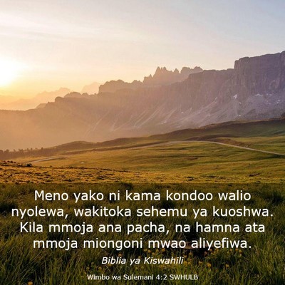 Picture 03 - Wimbo wa Sulemani 4:2 SWHULB - Meno yako ni kama kondoo walio nyolewa, wakitoka - Bible Verse Picture
