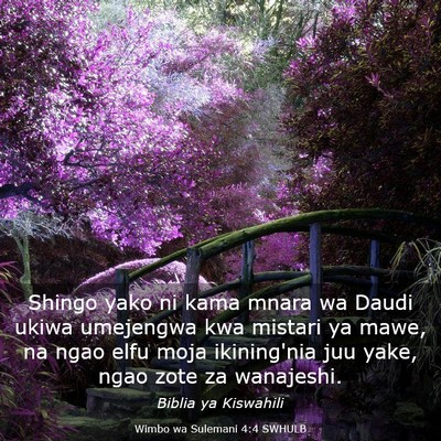 Picture 03 - Wimbo wa Sulemani 4:4 SWHULB - Shingo yako ni kama mnara wa Daudi ukiwa - Bible Verse Picture