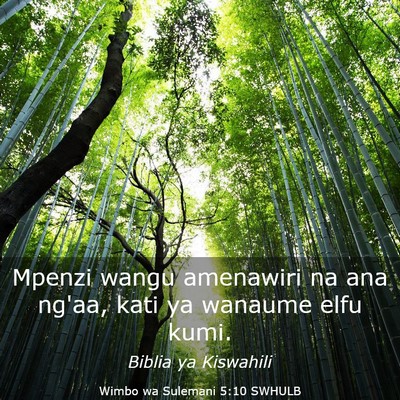 Picture 03 - Wimbo wa Sulemani 5:10 SWHULB - Mpenzi wangu amenawiri na ana ng'aa, kati ya - Bible Verse Picture