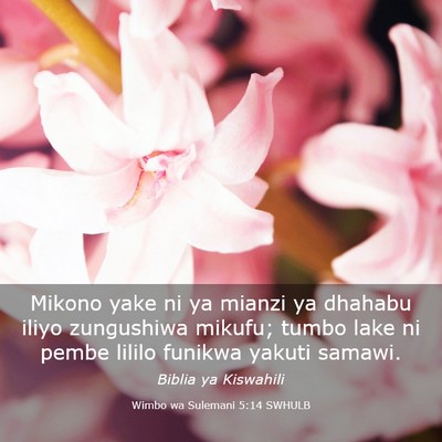 Picture 03 - Wimbo wa Sulemani 5:14 SWHULB - Mikono yake ni ya mianzi ya dhahabu iliyo - Bible Verse Picture