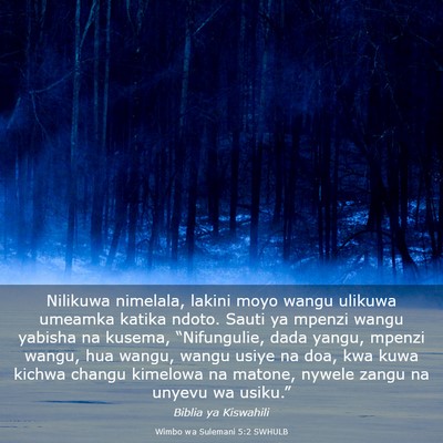 Picture 03 - Wimbo wa Sulemani 5:2 SWHULB - Nilikuwa nimelala, lakini moyo wangu ulikuwa - Bible Verse Picture
