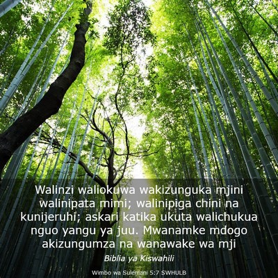 Picture 03 - Wimbo wa Sulemani 5:7 SWHULB - Walinzi waliokuwa wakizunguka mjini walinipata - Bible Verse Picture